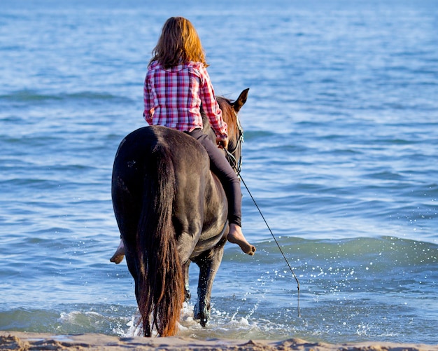 adolescent et cheval dans la mer