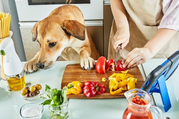 Un adolescent avec un chien prépare une classe de maître virtuelle en ligne et visualise une recette numérique sur une tablette à écran tactile tout en préparant un repas sain dans la cuisine à la maison.