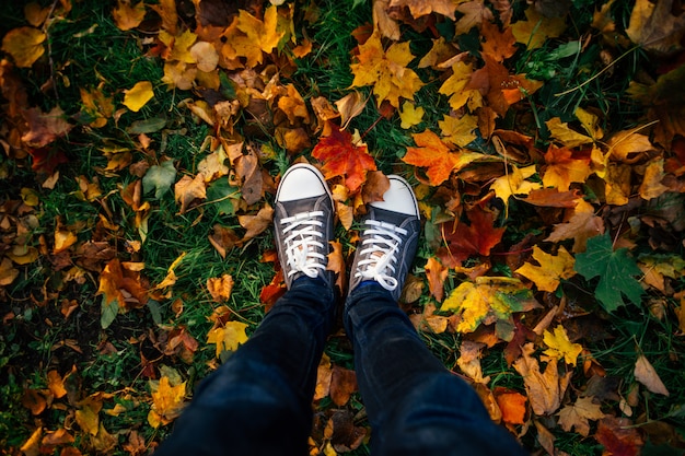 Photo adolescent jambes en baskets au sol avec des feuilles d'automne