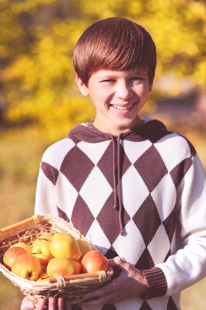 Adolescent mignon souriant de 12 à 14 ans avec des poires fraîches dans un panier en plein air. Saison de l'automne.