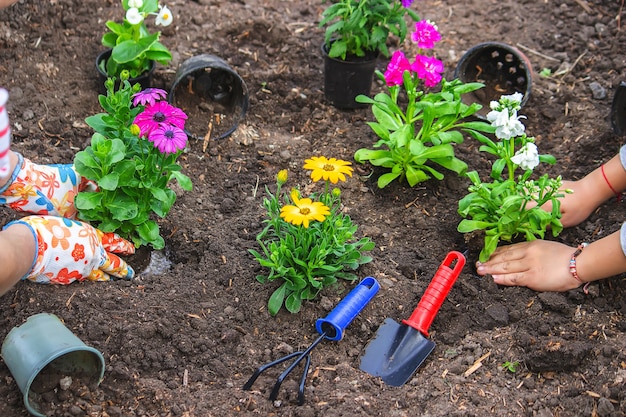 Une adolescente aide sa mère à planter des fleurs