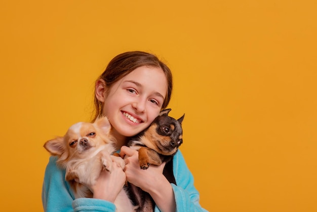 Adolescente avec des animaux domestiques sur fond jaune Une fille et deux chiens chihuahua