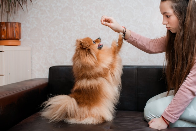 Une adolescente avec une race de chien Spitz se réjouit avec un animal de compagnie à la maison sur le sol.