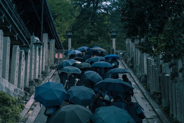 Photo des adolescents avec des parapluies en excursion scolaire à nagoya