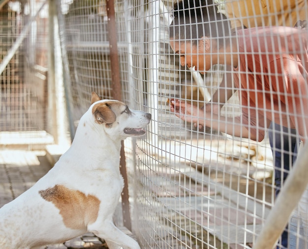 Adoption soins aux animaux et femme noire avec un chien regardant à travers la porte de la clôture et la cage au refuge pour chiens Les animaux de compagnie aiment et les femmes sont ravies de choisir d'accueillir et de soutenir l'animal de la famille au refuge pour animaux ou au chenil