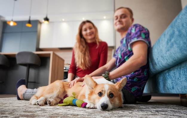 Adorable chien Corgi allongé sur le sol à côté de ses propriétaires aimants