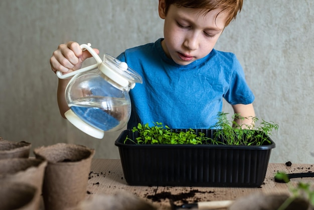 Adorable enfant européen gingembre garçon arrosant une plante en pot concept d'apprendre à cultiver des plantes pour les enfants d'âge préscolaire et enseigner aux enfants les arbres dans la nature