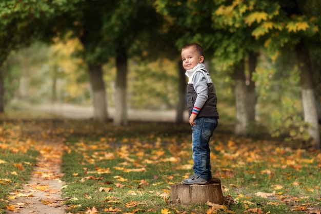 Adorable garçon heureux jetant les feuilles tombées, jouant dans le parc en automne