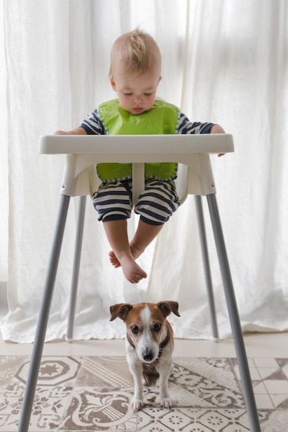 Adorable petit garçon assis et petit chien sous une chaise haute pour enfant.