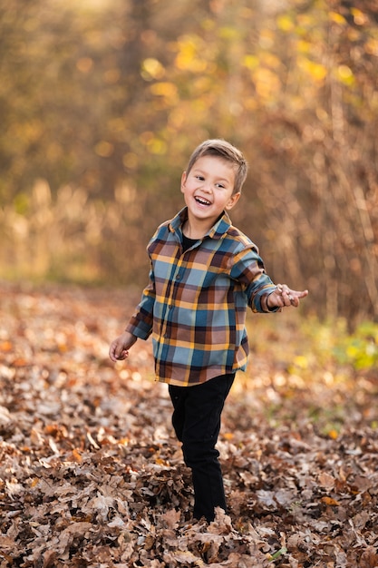 Adorable petit garçon plaing avec des feuilles jaunes dans le parc ensoleillé d'automne