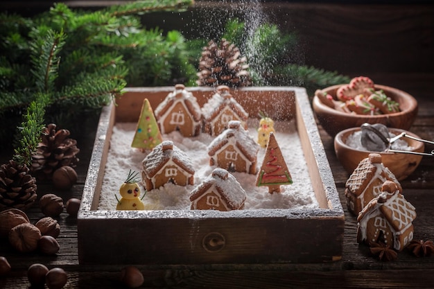 Adorable village de pain d'épice de Noël avec des arbres et de la neige