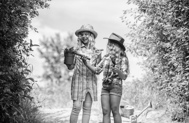 Adorables filles en chapeaux allant planter des plantes Enfants frères et sœurs s'amusant à la ferme Concept d'agriculture écologique Filles avec des outils de jardinage Sœurs aidant à la ferme En route vers la ferme familiale Concept d'agriculture