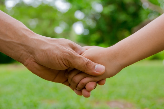 Adulte et enfant se serrant la main isolé sur un fond vert