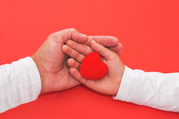 Un adulte et un enfant tiennent un cœur rouge dans leurs mains. Concept pour la charité, l'assurance maladie, l'amour, la journée de cardiologie interventionnelle.