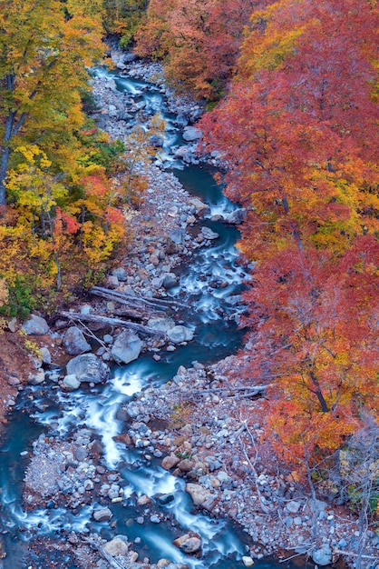 Aérien, automne, rivière, rivière, japon