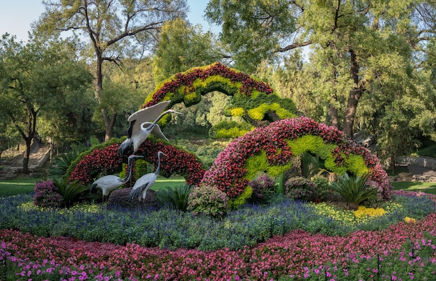 Affichage floral au Palais d'été à l'extérieur de Beijing Chine