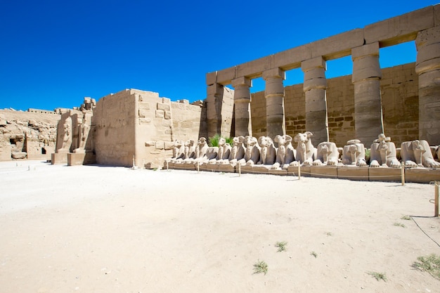 Afrique Egypte Louxor temple de Karnak