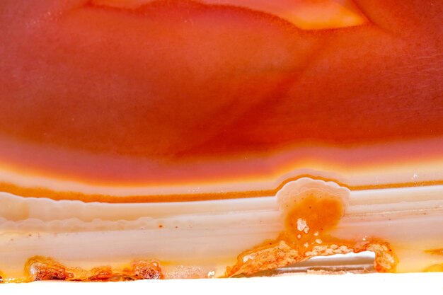 Agate orange minéral macro en cristaux sur fond blanc