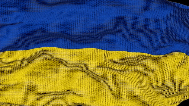 Agitant le drapeau de l'Ukraine