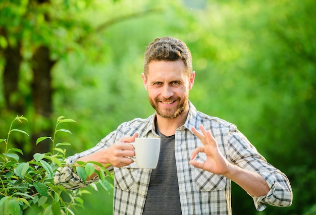 Agréable moment de soins personnels Boisson naturelle Mode de vie sain Je préfère le thé vert Boisson rafraîchissante Homme barbu cultivateur de thé tenir tasse nature fond Plantation de thé vert Thé à feuilles entières