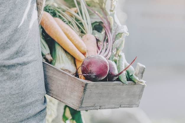 Agriculteur adulte homme tenant des légumes savoureux dans une boîte en bois dans le jardin tôt le matin