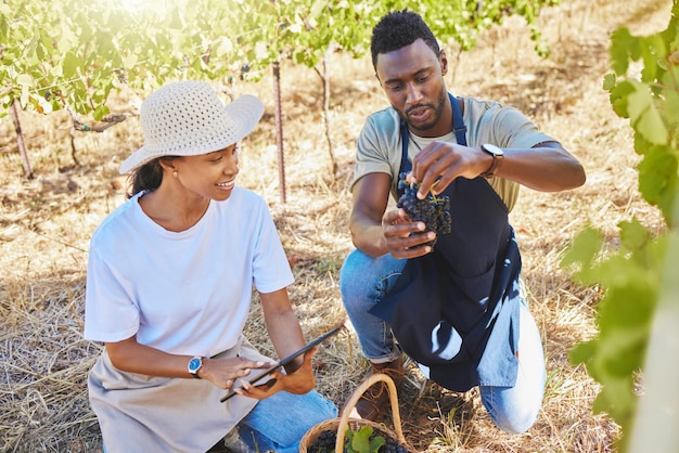 Agriculteur agricole et usine de fabrication de vin ou ouvriers du vignoble faisant une liste de contrôle de qualité sur leurs fruits Croissance durable et amis de la cave travaillant dans une ferme de campagne nature