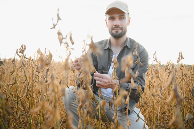 Agriculteur agronome sur un champ de soja Industrie agricole