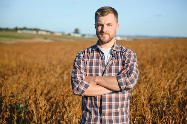 Agriculteur agronome dans un champ de soja vérifiant les cultures avant la récolte. Production et culture d'aliments biologiques.