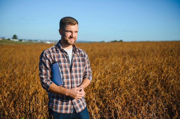 Agriculteur agronome dans un champ de soja vérifiant les cultures avant la récolte. Production et culture d'aliments biologiques.