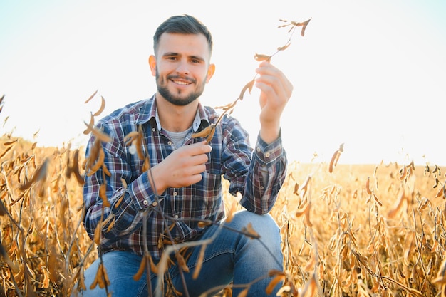 Agriculteur agronome dans un champ de soja vérifiant les cultures avant la récolte Production et culture d'aliments biologiques