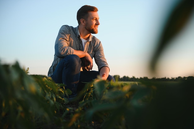 Agriculteur agronome dans un champ de soja vérifiant les cultures Production et culture d'aliments biologiques