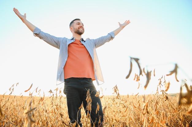 Agriculteur ou agronome inspectant un champ de soja