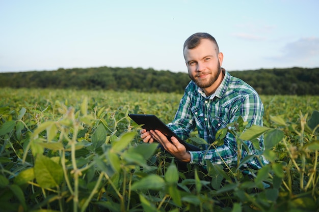 Un agriculteur agronome inspecte le soja vert qui pousse dans un champ. Agriculture