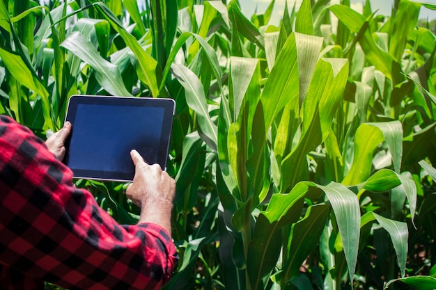 Agriculteur à l'aide d'une tablette numérique