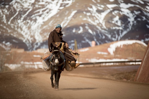 Agriculteur sur un âne au Maroc