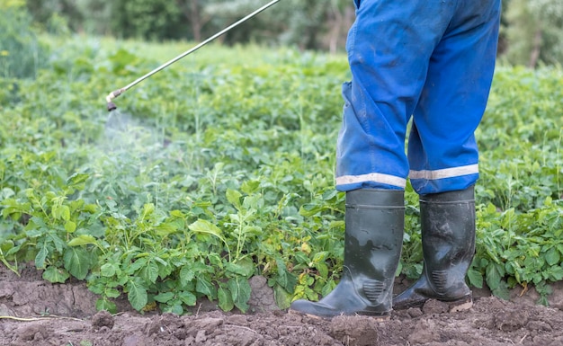 Un agriculteur appliquant des insecticides sur sa récolte de pommes de terre L'utilisation de produits chimiques dans l'agriculture