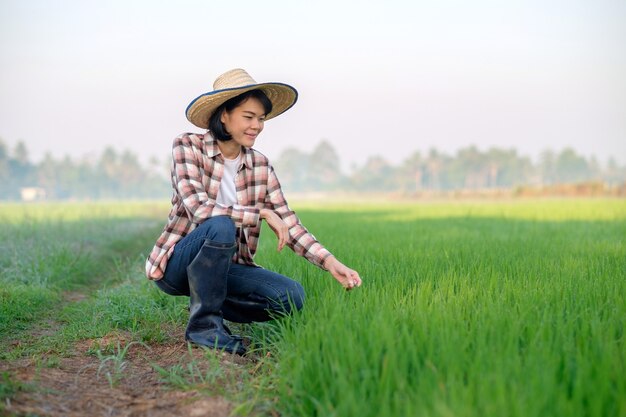 Agriculteur asiatique avec chapeau assis à la ferme de riz vert