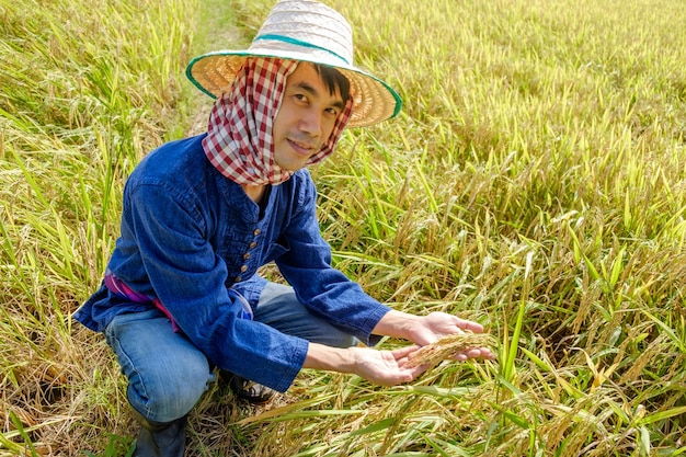 Agriculteur asiatique portant une chemise rayée portant un chapeau assis et regardant la rizière avec un visage souriant