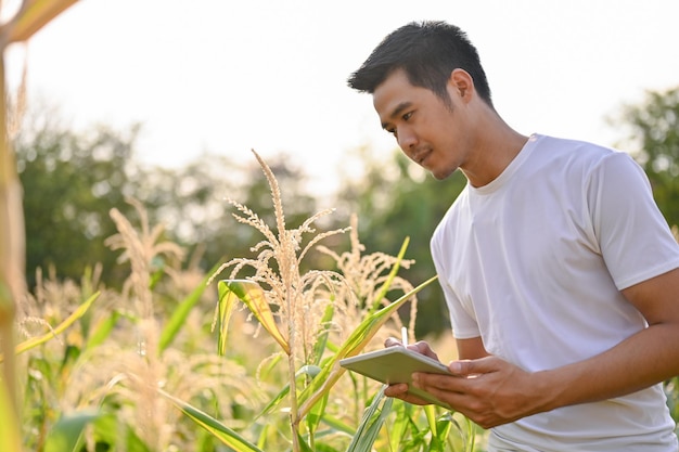 Un agriculteur asiatique ou un propriétaire de ferme utilisant sa tablette pour son système de ferme intelligent