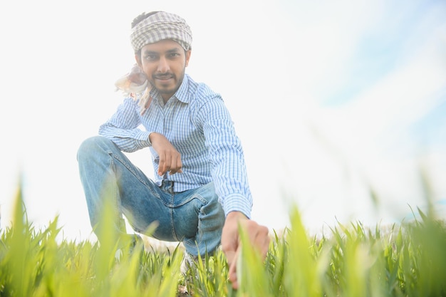 Un agriculteur asiatique se tient dans une rizière