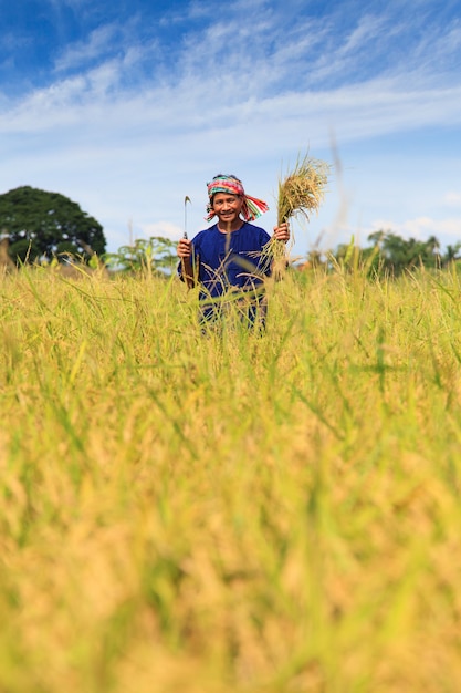 Agriculteur asiatique travaillant dans la rizière