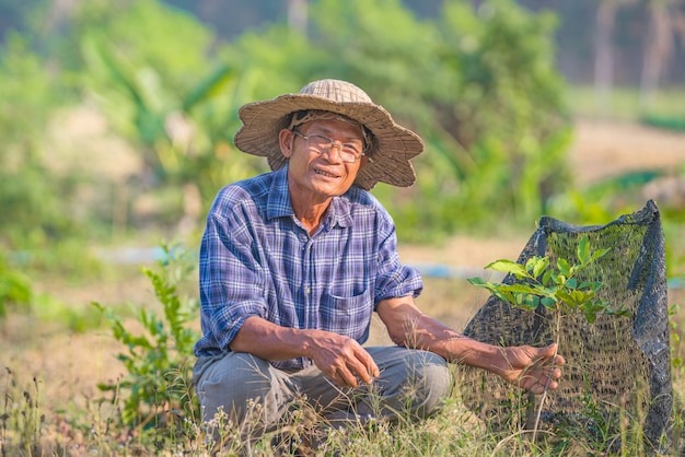 Agriculteur asiatique travaillant