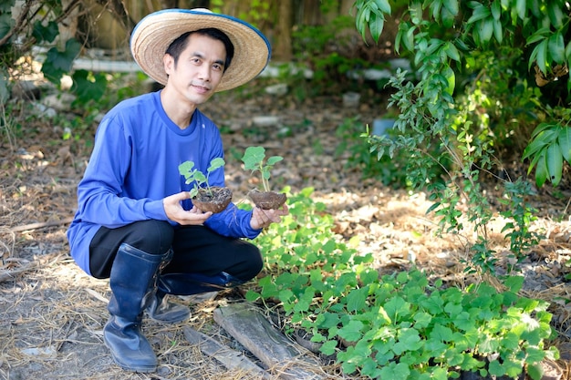 Un agriculteur asiatique vêtu de bleu est assis à côté d'un potager tenant des semis à planter