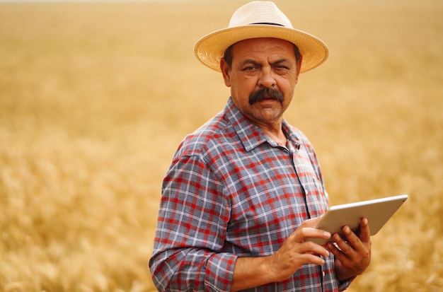 Agriculteur Au Chapeau Vérifiant Les Progrès Du Champ De Blé Tenant Une Tablette à L'aide D'internet Agriculture Numérique