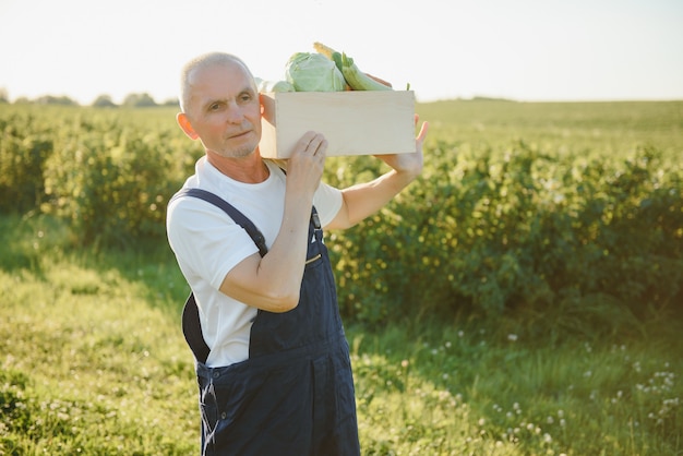 Agriculteur avec boîte en bois de légumes dans le champ