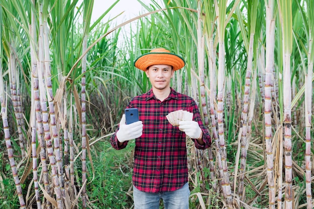 Agriculteur de canne à sucre heureux avec la main de visage souriant tenant un téléphone intelligent dans une plantation de canne à sucre, concept de subvention en espèces