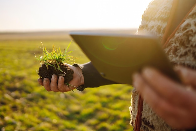 Agriculteur sur un champ de blé avec une tablette dans ses mains au coucher du soleil Ferme intelligente Agriculture jardinage