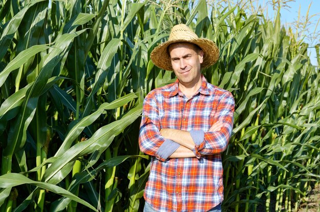 Agriculteur en chapeau de paille avec les mains croisées debout devant le champ de maïs vert