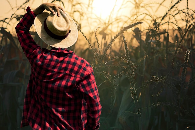 Agriculteur avec chapeau regardant le champ de plantation de maïs au coucher du soleil image conceptuelle