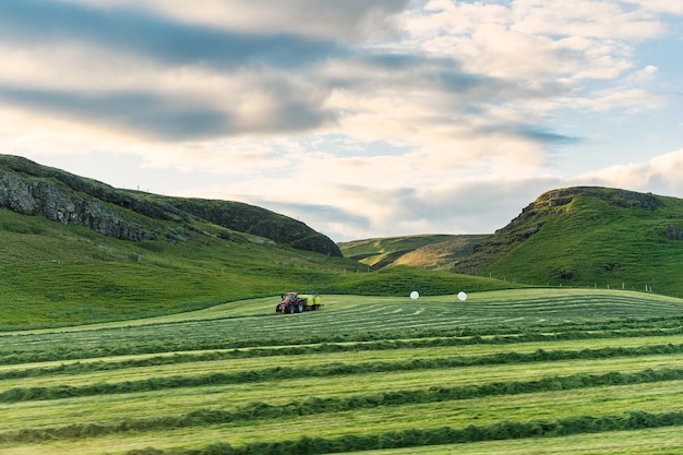 Agriculteur conduisant un tracteur récoltant de l'herbe dans les terres agricoles en été